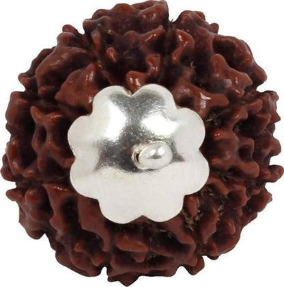 7 Mukhi Rudraksha Silver Capped Pendant – Energized & Certified Spiritual Healing Bead